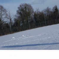 kika