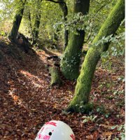 FL cherche une nounou à Pluvigner