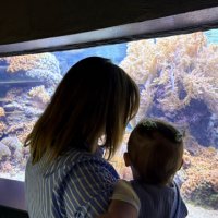 Manon cherche une nounou à La Roche-sur-Foron