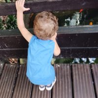 Dylan cherche une assistante maternelle à Lucéram