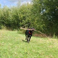 Laureen cherche une assistante maternelle à Crannes-en-Champagne